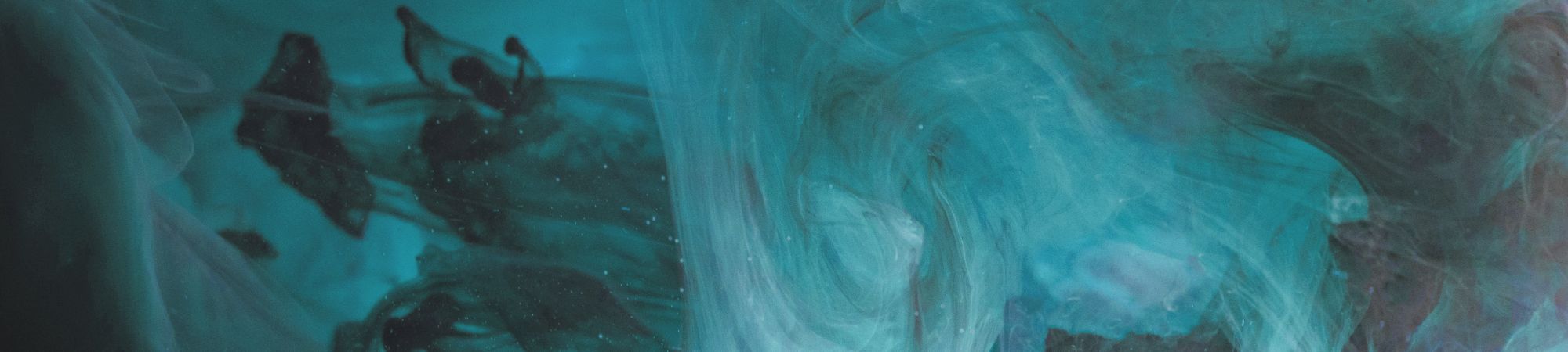 Programa personalizado Huevo Yoni