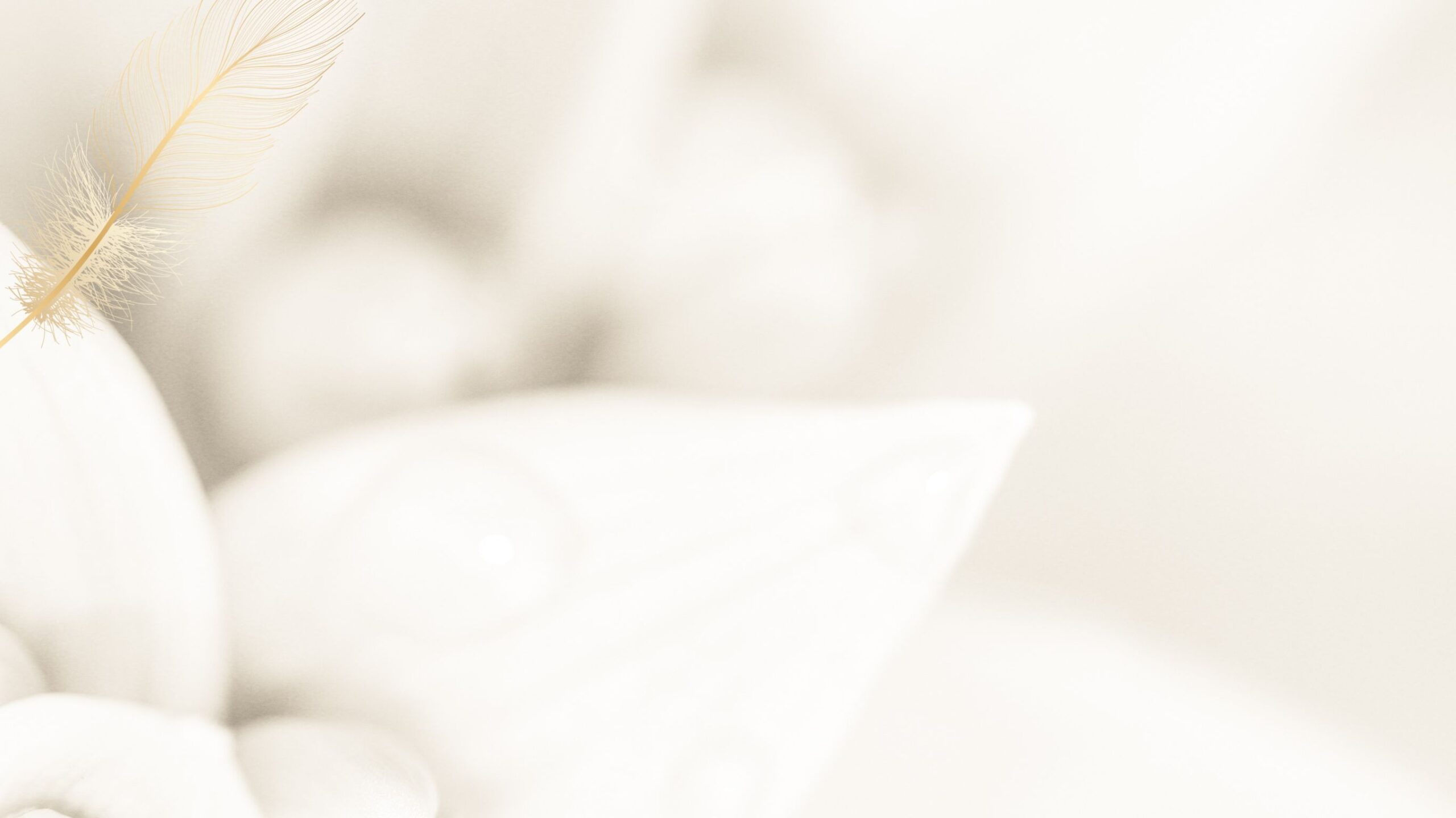 Formación Sacra Esencia